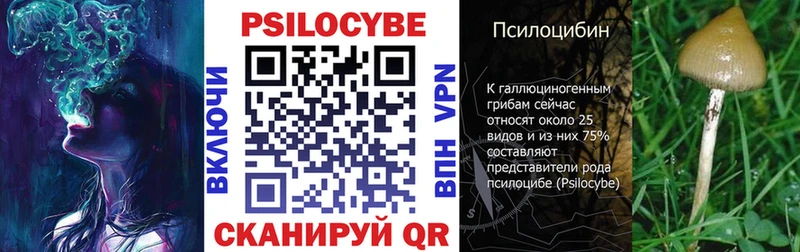hydra ссылка  Сысерть  Галлюциногенные грибы прущие грибы 